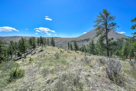 Off Grid Hunting Cabin on 45 Acres Bordering National Forest - image 6