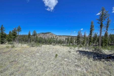 Off Grid Hunting Cabin on 45 Acres Bordering National Forest - image 8