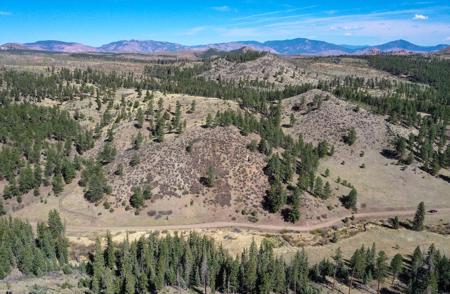 Off Grid Hunting Cabin on 45 Acres Bordering National Forest - image 41