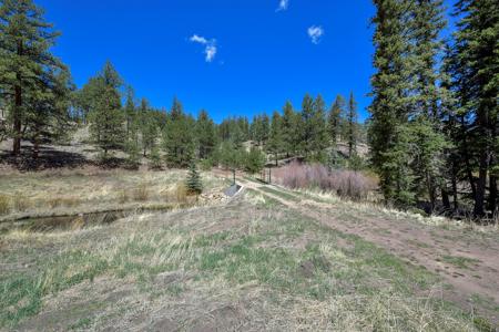 Off Grid Hunting Cabin on 45 Acres Bordering National Forest - image 21