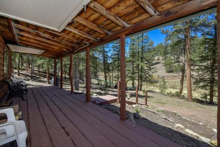 Off Grid Hunting Cabin on 45 Acres Bordering National Forest - image 24