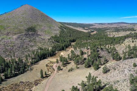 Off Grid Hunting Cabin on 45 Acres Bordering National Forest - image 48