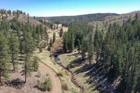 Off Grid Hunting Cabin on 45 Acres Bordering National Forest - image 42