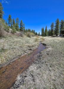 Off Grid Hunting Cabin on 45 Acres Bordering National Forest - image 29