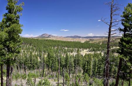 Off Grid Hunting Cabin on 45 Acres Bordering National Forest - image 40