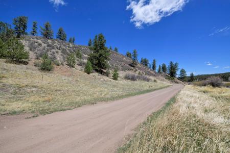 Off Grid Hunting Cabin on 45 Acres Bordering National Forest - image 18