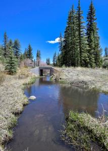 Off Grid Hunting Cabin on 45 Acres Bordering National Forest - image 26