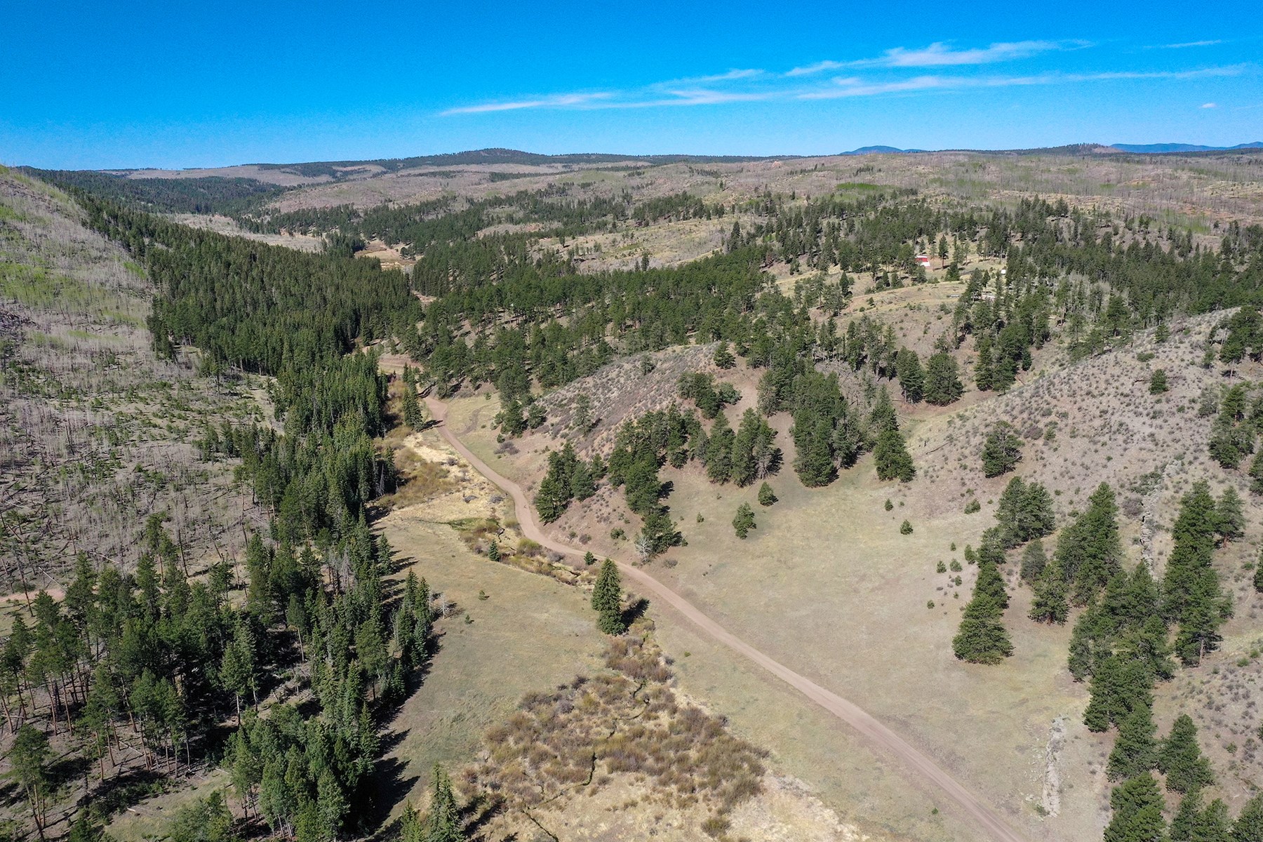 Off Grid Hunting Cabin on 45 Acres Bordering National Forest - image 49