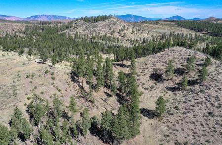 Off Grid Hunting Cabin on 45 Acres Bordering National Forest - image 46