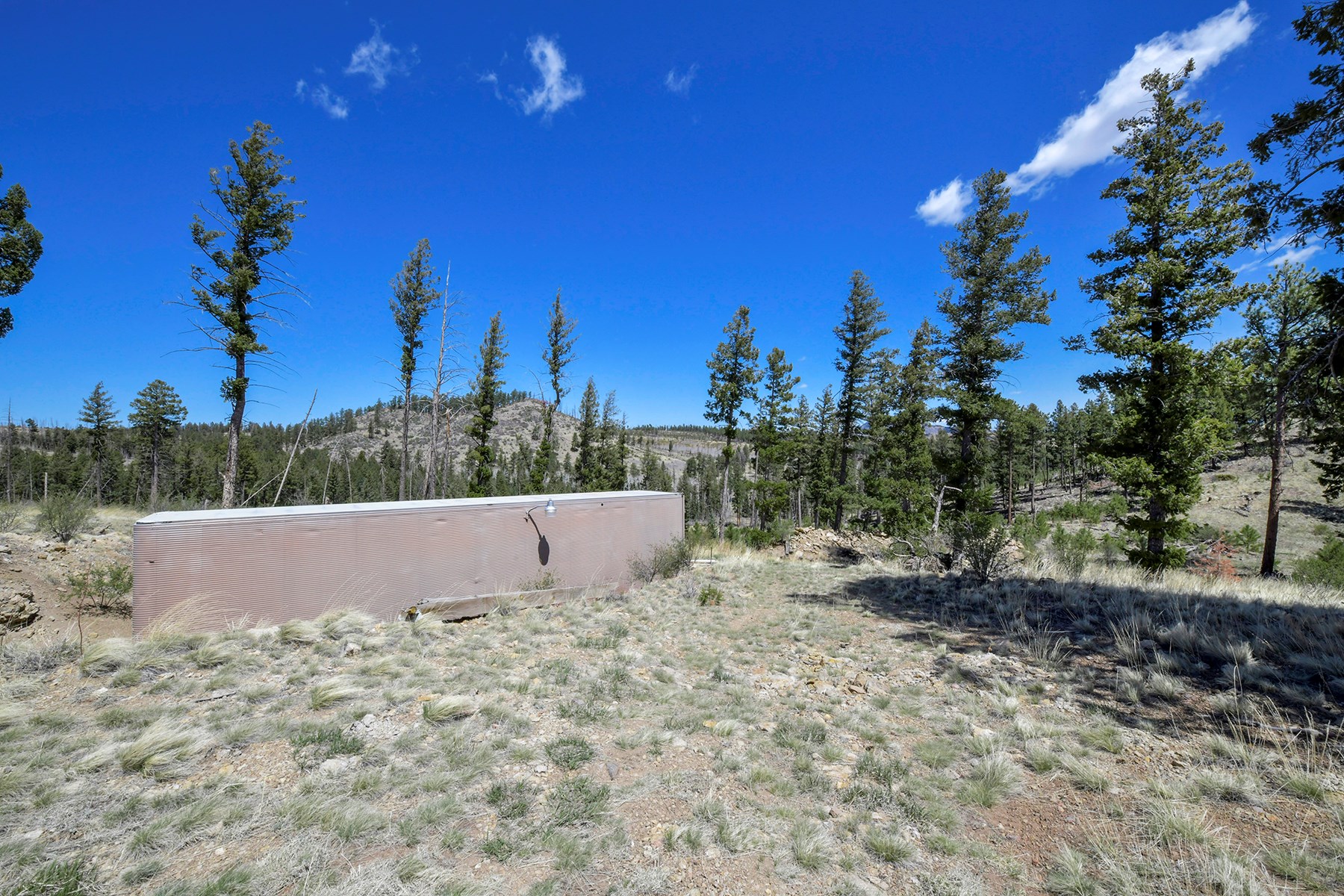 Off Grid Hunting Cabin on 45 Acres Bordering National Forest - image 7