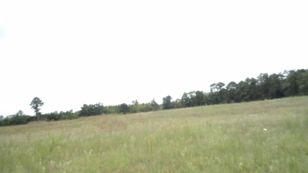 Cherokee County Lands For Sale - image 5