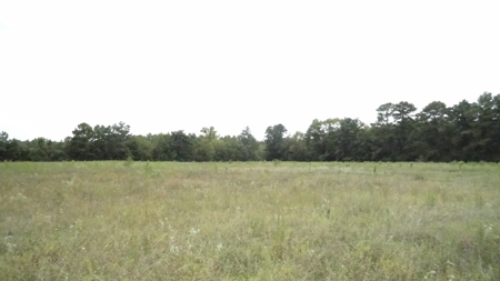 Cherokee County Lands For Sale - image 7
