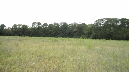 Cherokee County Lands For Sale - image 8