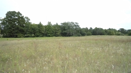 Cherokee County Lands For Sale - image 6