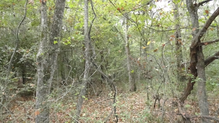 Cherokee County Lands For Sale - image 10