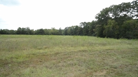 Cherokee County Lands For Sale - image 17