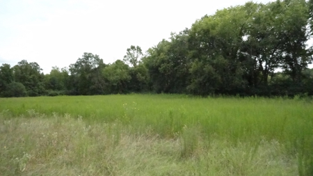 Cherokee County Lands For Sale - image 18