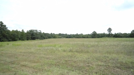Cherokee County Lands For Sale - image 16