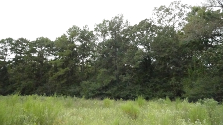 Cherokee County Lands For Sale - image 15
