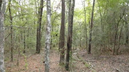 Cherokee County Lands For Sale - image 12