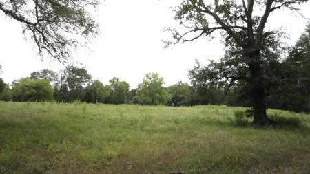 Cherokee County Lands For Sale - image 4