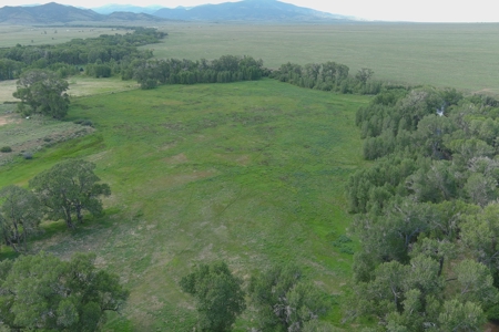 Colorado Ranch  For Sale With Water Rights / Income / Crops - image 40