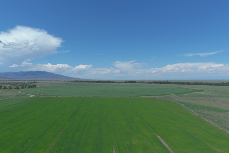 Colorado Ranch  For Sale With Water Rights / Income / Crops - image 11