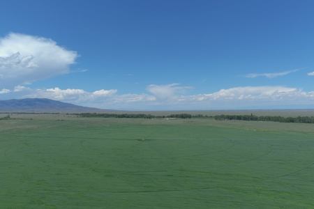 Colorado Ranch  For Sale With Water Rights / Income / Crops - image 13
