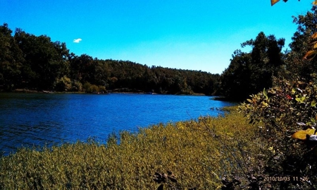Ozarks Lot  For Sale On Navajo Lake In Ar - image 3