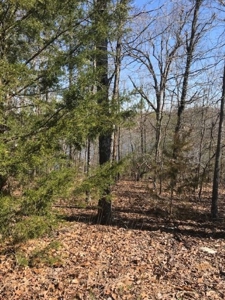 Ozarks Lot  For Sale On Navajo Lake In Ar - image 1