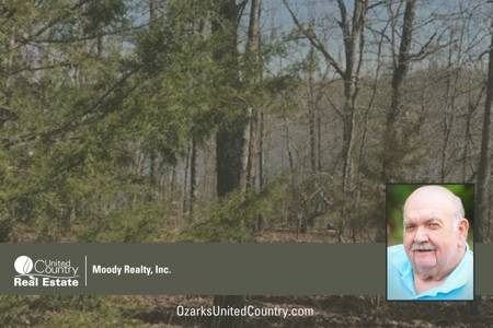 Ozarks Lot  For Sale On Navajo Lake In Ar - image 4
