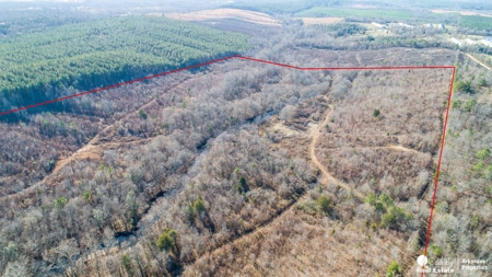 Land with creek for sale in Mena, Arkansas - image 4