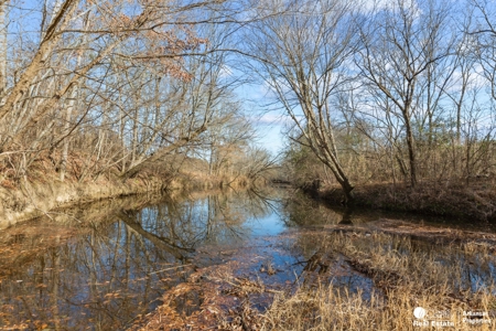 Land with creek for sale in Mena, Arkansas - image 2