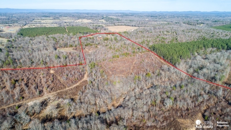 Land with creek for sale in Mena, Arkansas - image 3