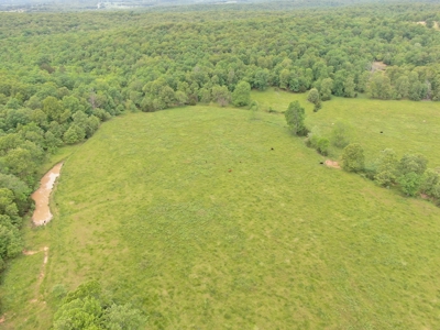 Farm For Sale in Missouri Ozarks - image 5