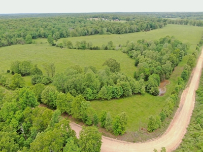 Farm For Sale in Missouri Ozarks - image 3