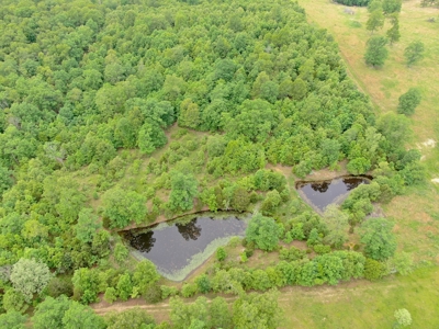 Farm For Sale in Missouri Ozarks - image 8