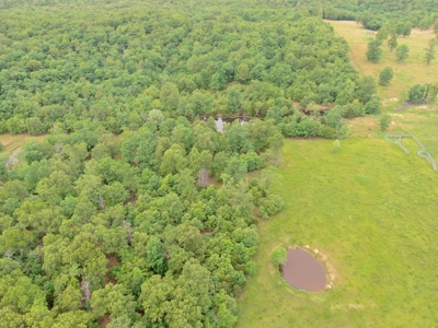 Farm For Sale in Missouri Ozarks - image 7