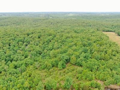 Farm For Sale in Missouri Ozarks - image 9