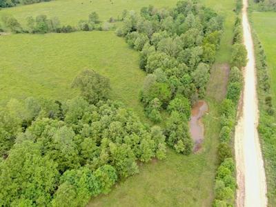 Farm For Sale in Missouri Ozarks - image 4