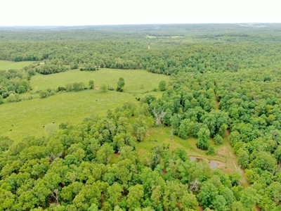 Farm For Sale in Missouri Ozarks - image 11