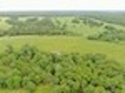 Farm For Sale in Missouri Ozarks - image 12