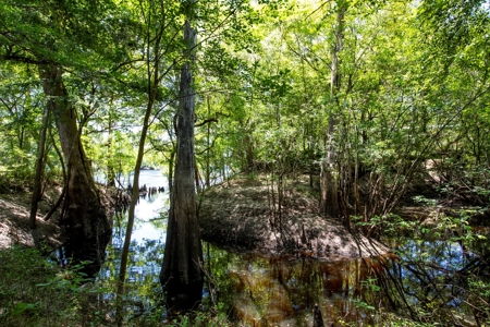 River Home In Hatchbend! Branford Florida! - image 41
