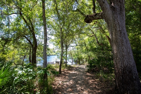 River Home In Hatchbend! Branford Florida! - image 39