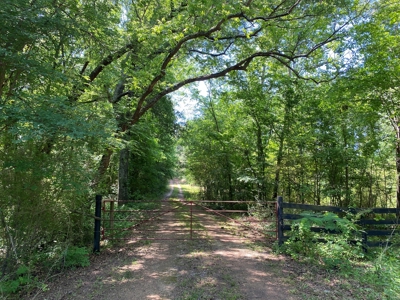East Texas Ranch with Cabin - image 21