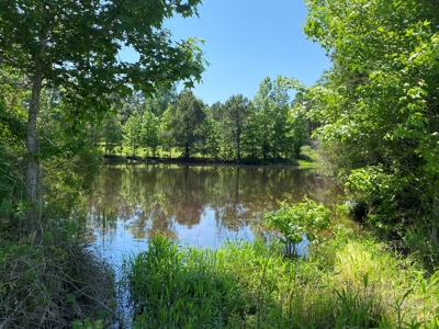 East Texas Ranch with Cabin - image 18