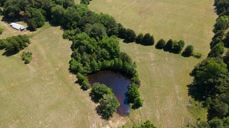 East Texas Ranch with Cabin - image 13