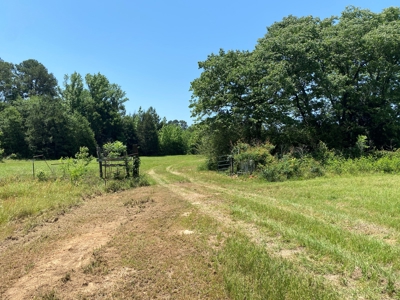 East Texas Ranch with Cabin - image 15