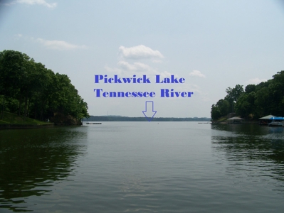 Points Of Pickwick Cove Building Lot Near Pickwick Lake - image 43