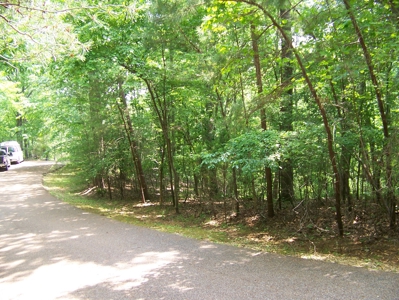 Points Of Pickwick Cove Building Lot Near Pickwick Lake - image 8